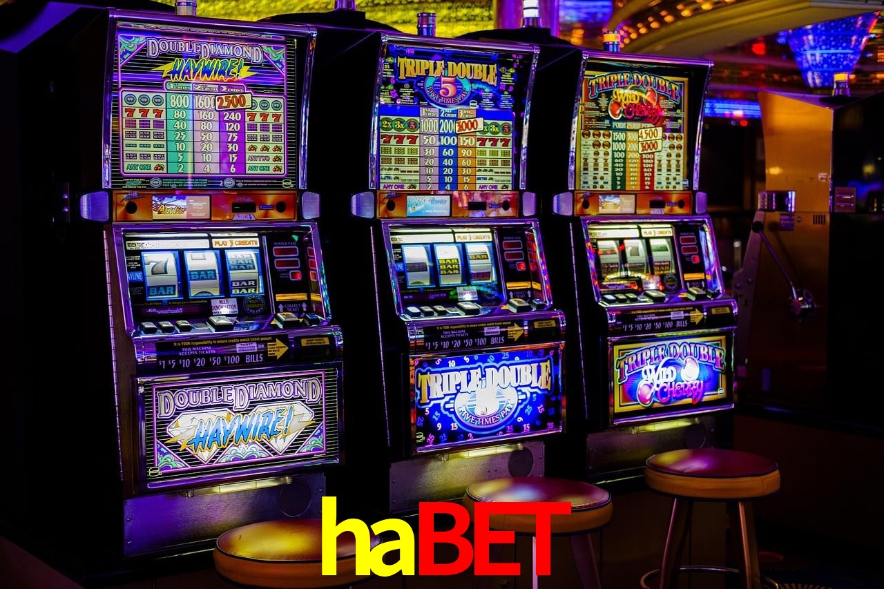 Experiência VIP habet